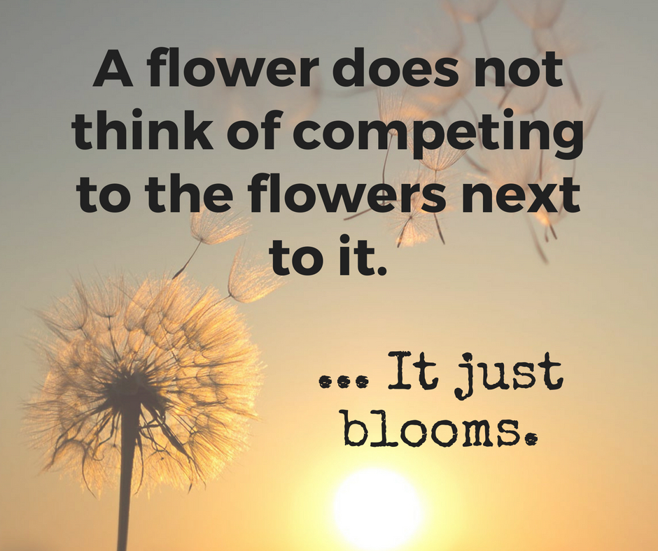 dandelion flower inspirational quote